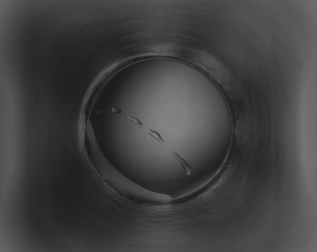 X0000100891180200806241225