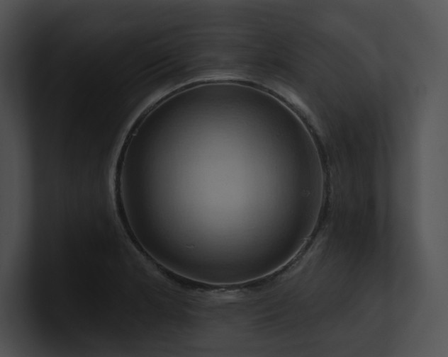 X0000100891181200806241225