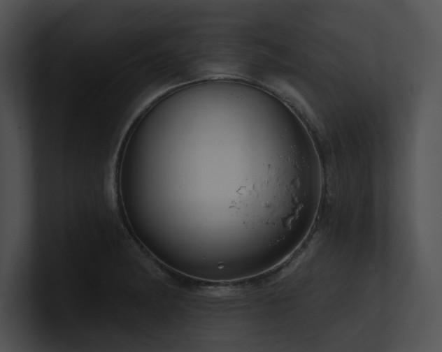 X0000100891182200806241225