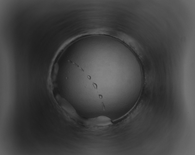 X0000100891184200806241225