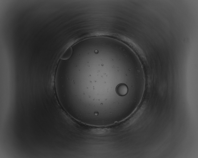X0000100891185200806241225