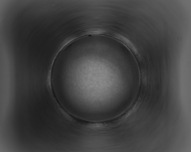 X0000100891186200806241225
