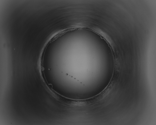 X0000100891187200806241225