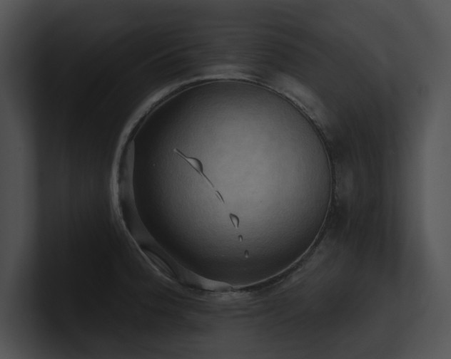 X0000100891188200806241225