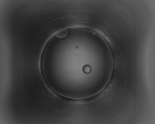 X0000100891189200806241225