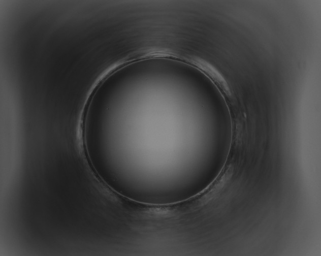 X0000100891190200806241225