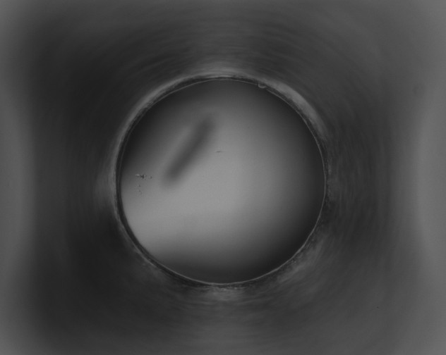 X0000100891191200806241225