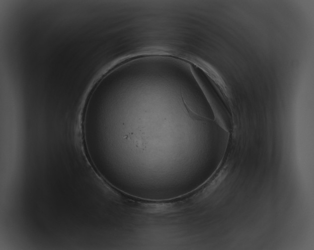 X0000100891192200806241225