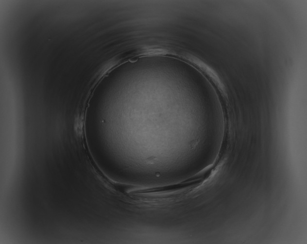 X0000100891193200806241225