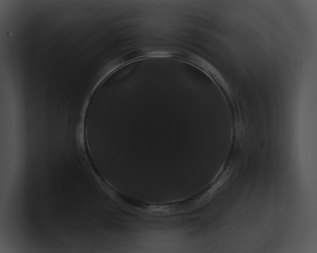 X0000100891194200806241225