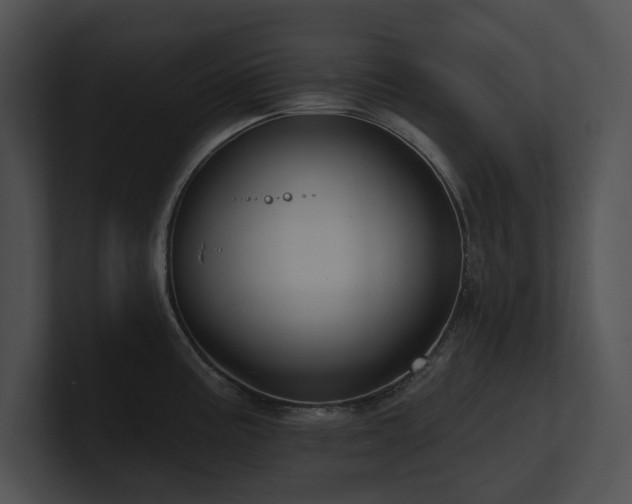 X0000100891195200806241225