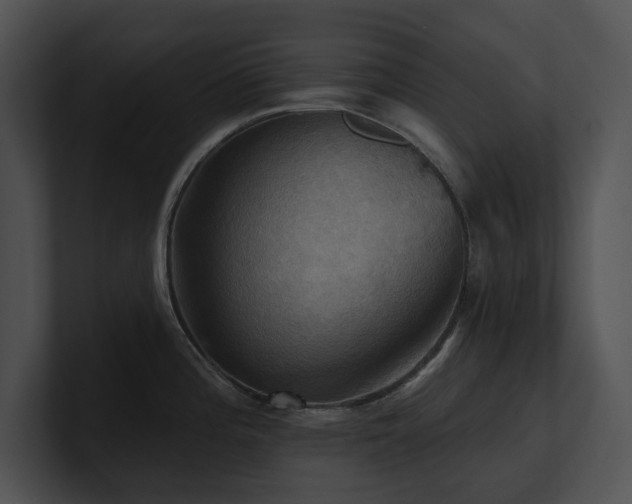 X0000100891196200806241225