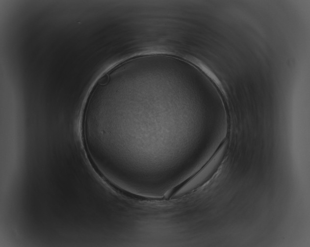 X0000100891197200806241225