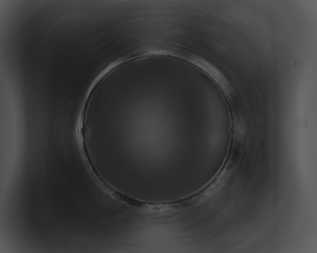 X0000100891198200806241225