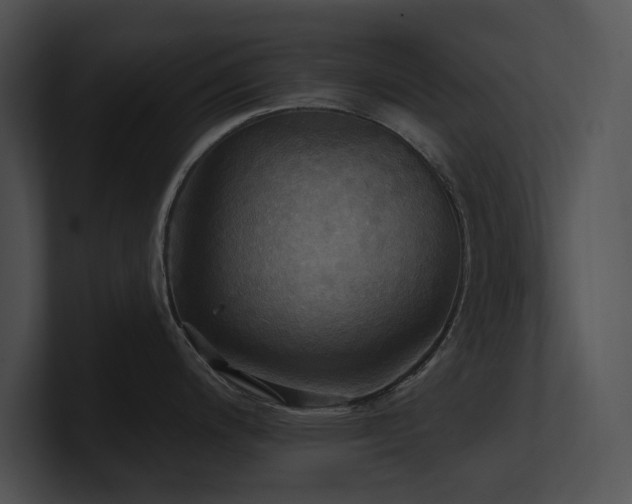 X0000100891200200806241225