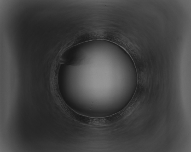 X0000100891201200806241224
