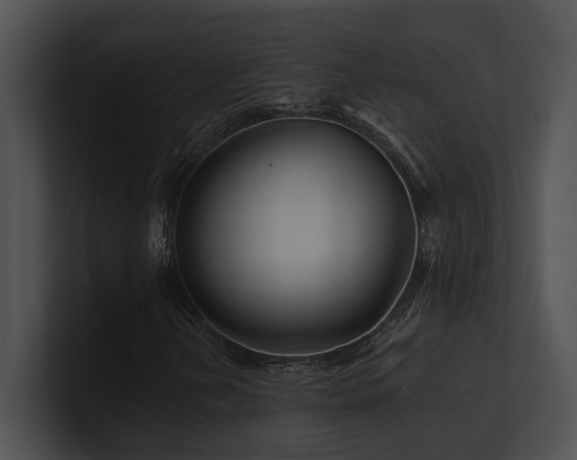 X0000100891202200806241224