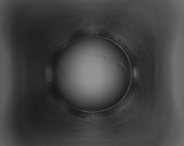 X0000100891203200806241224