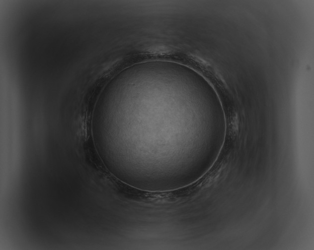 X0000100891205200806241224
