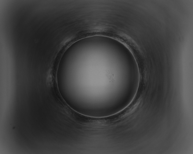 X0000100891210200806241224