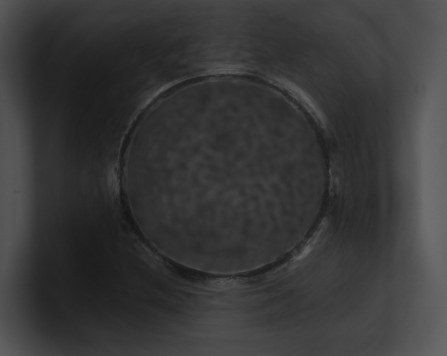 X0000100891212200806241224