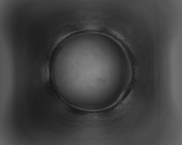 X0000100891214200806241224