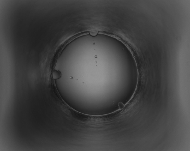 X0000100891215200806241224