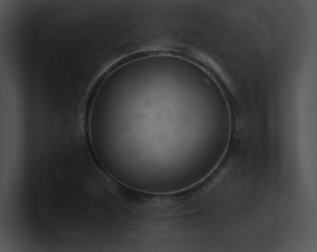 X0000100891216200806241224