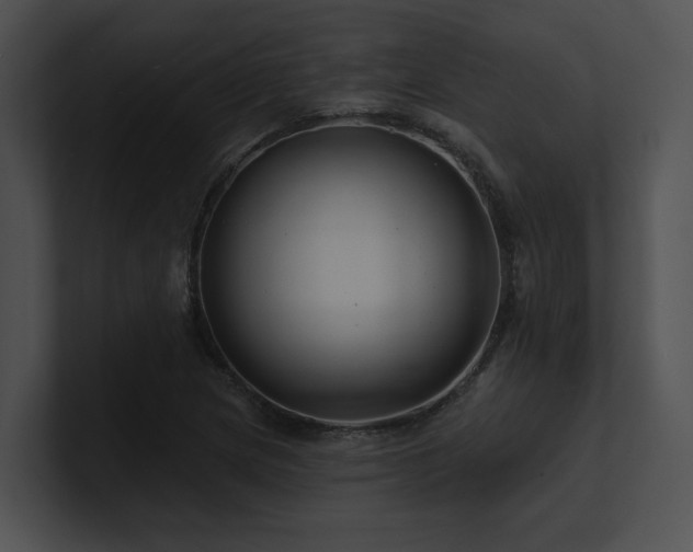 X0000100891217200806241224