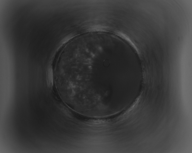 X0000100891219200806241224