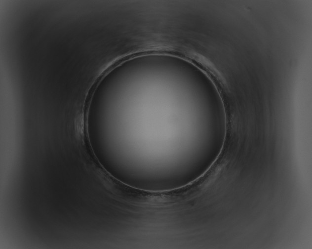 X0000100891220200806241224