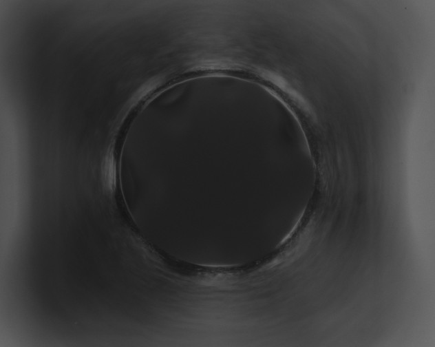 X0000100891221200806241224