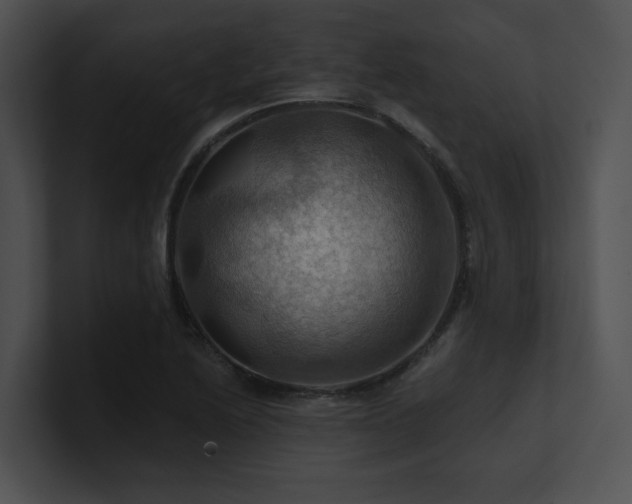 X0000100891222200806241224