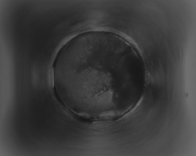 X0000100891223200806241224