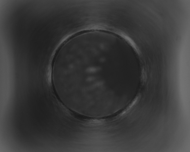 X0000100891224200806241224