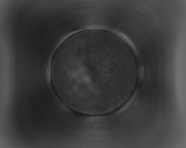 X0000100891228200806241225