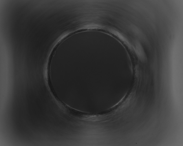 X0000100891229200806241225