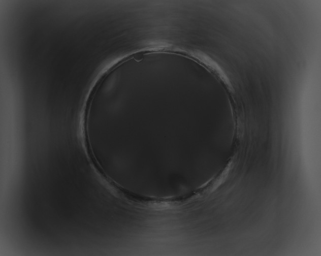 X0000100891231200806241225