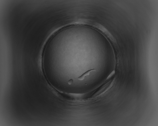 X0000100891232200806241225