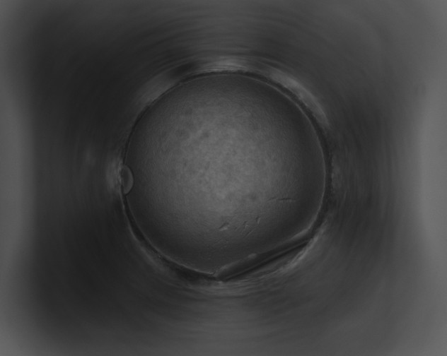 X0000100891233200806241225