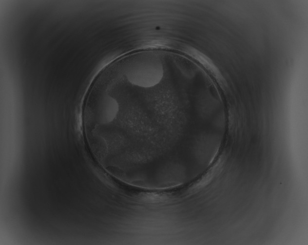 X0000100891234200806241225