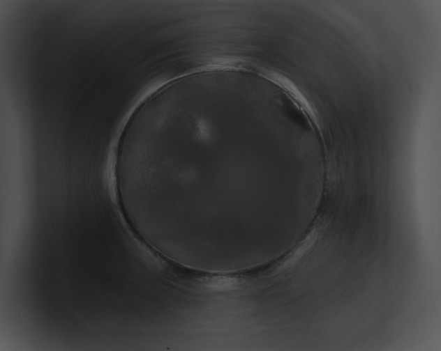 X0000100891235200806241225