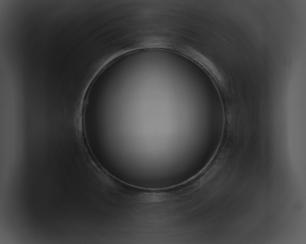 X0000100891236200806241225