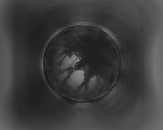 X0000100891237200806241225