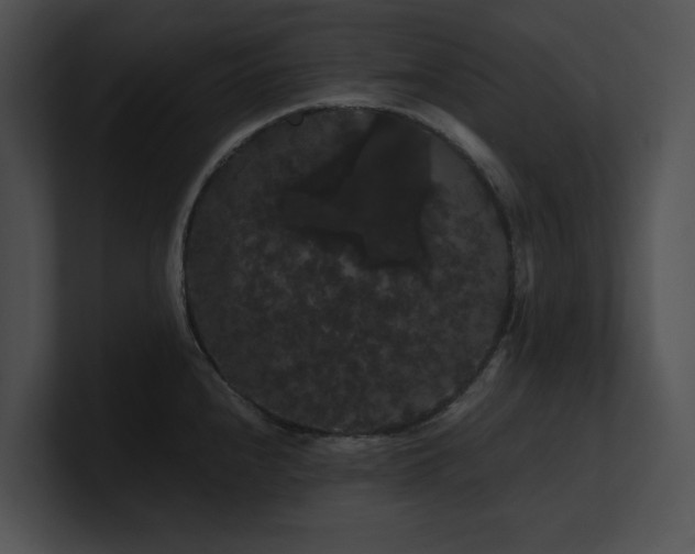 X0000100891240200806241225