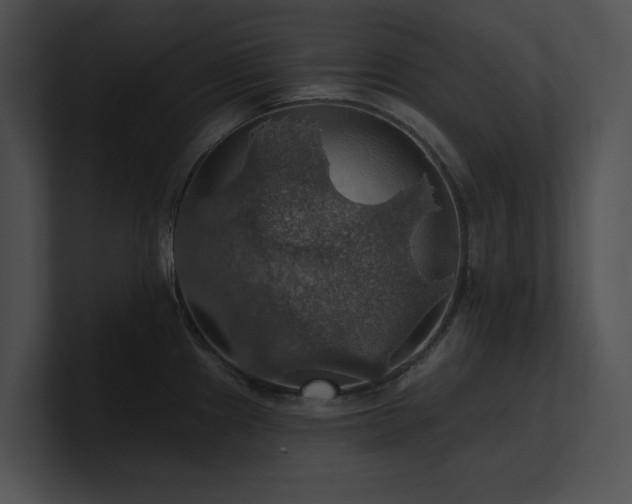 X0000100891241200806241225