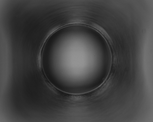 X0000100891242200806241225
