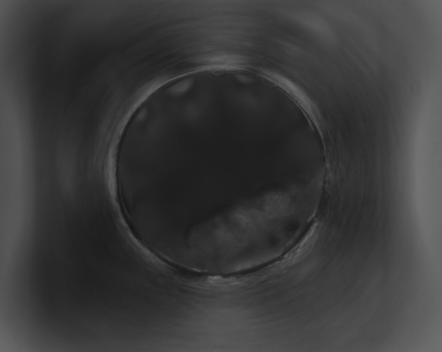 X0000100891243200806241225