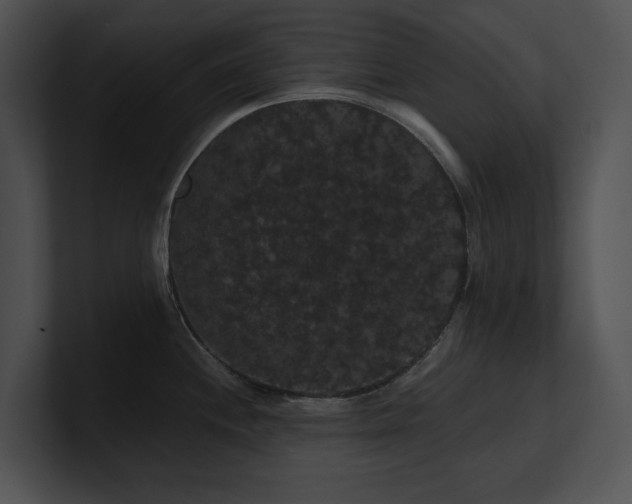 X0000100891244200806241225