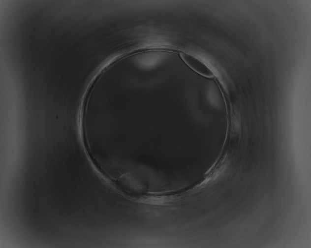 X0000100891245200806241225